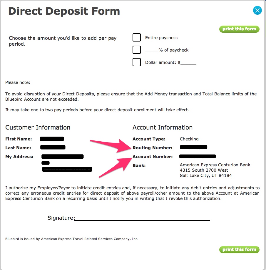 Bluebird Routing Number And Account Information American Express Bluebird Card Help